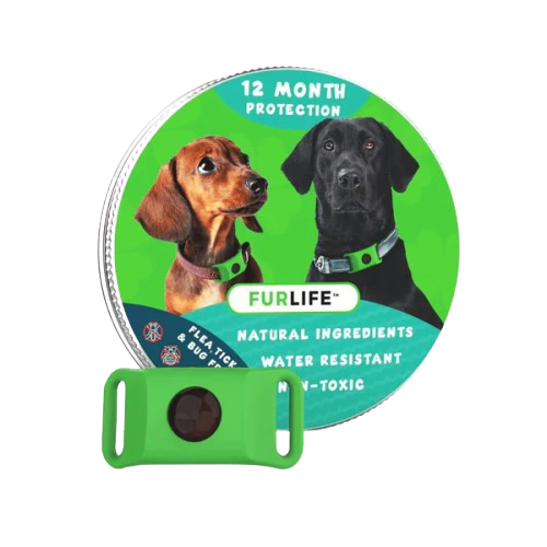 FLO™ — 12-Month Natural Flea & Tick Repellent Pendant