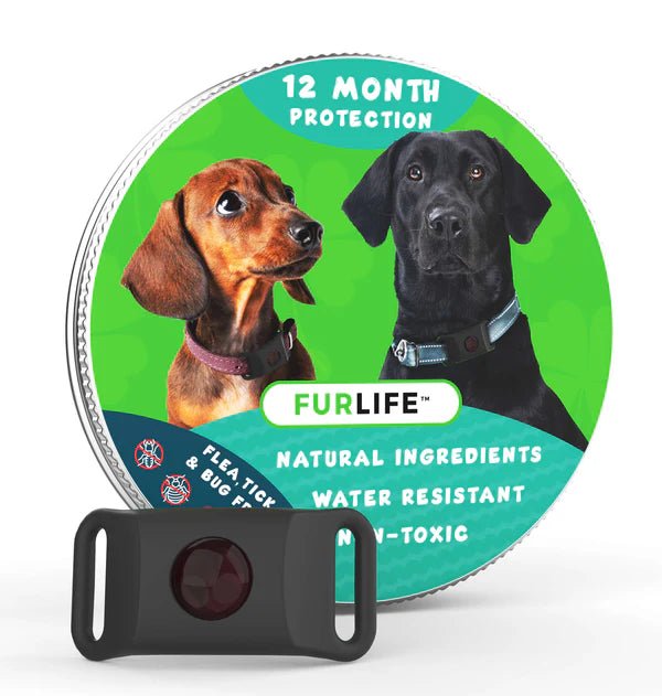 FLO™ — 12-Month Natural Flea & Tick Repellent Pendant