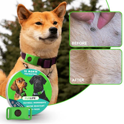 FLO™ — 12-Month Natural Flea & Tick Repellent Pendant